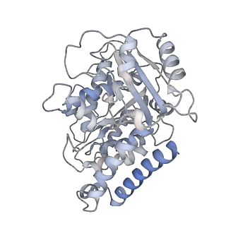 23615_7m18_L_v1-2
HeLa-tubulin in complex with cryptophycin 1