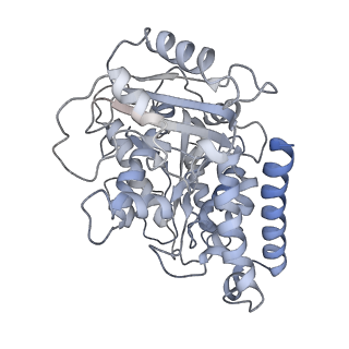 23615_7m18_N_v1-2
HeLa-tubulin in complex with cryptophycin 1