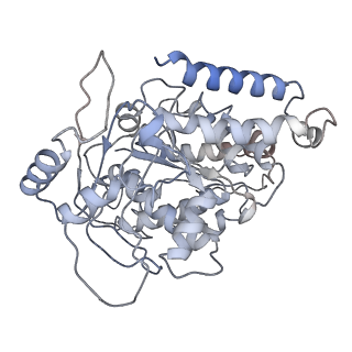 23615_7m18_O_v1-2
HeLa-tubulin in complex with cryptophycin 1