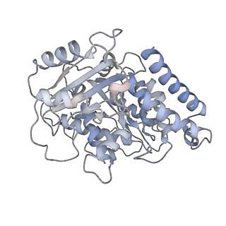 23615_7m18_P_v1-2
HeLa-tubulin in complex with cryptophycin 1