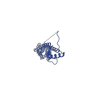 23616_7m19_B_v1-0
SN-407-LRRC8A in MSP1E3D1 lipid nanodiscs (Pose-2)