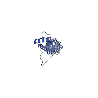 23616_7m19_E_v1-0
SN-407-LRRC8A in MSP1E3D1 lipid nanodiscs (Pose-2)