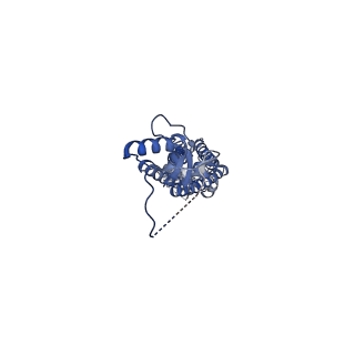 23616_7m19_E_v2-1
SN-407-LRRC8A in MSP1E3D1 lipid nanodiscs (Pose-2)
