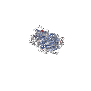 23617_7m1p_A_v1-1
Human ABCA4 structure in the unbound state