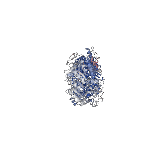 23618_7m1q_A_v1-1
Human ABCA4 structure in complex with N-ret-PE