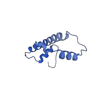23626_7m1x_B_v1-2
Cryo-EM Structure of Nucleosome containing mouse histone variant H2A.Z