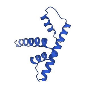 23626_7m1x_D_v1-2
Cryo-EM Structure of Nucleosome containing mouse histone variant H2A.Z