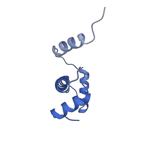 23626_7m1x_E_v1-2
Cryo-EM Structure of Nucleosome containing mouse histone variant H2A.Z
