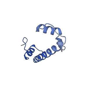 23626_7m1x_F_v1-2
Cryo-EM Structure of Nucleosome containing mouse histone variant H2A.Z