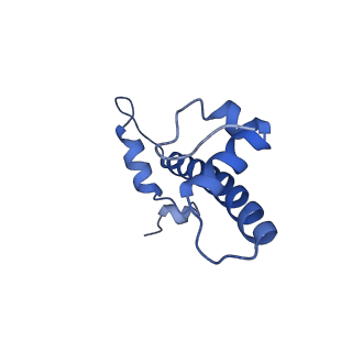23626_7m1x_G_v1-2
Cryo-EM Structure of Nucleosome containing mouse histone variant H2A.Z