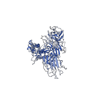 30038_6m16_A_v1-1
Cryo-EM structures of SADS-CoV spike glycoproteins