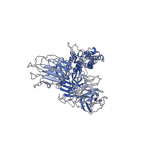 30038_6m16_B_v1-1
Cryo-EM structures of SADS-CoV spike glycoproteins