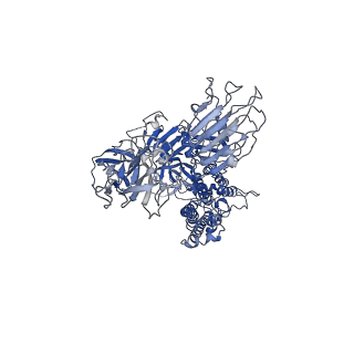 30038_6m16_C_v1-1
Cryo-EM structures of SADS-CoV spike glycoproteins
