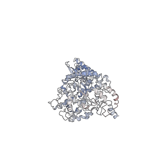 30041_6m1d_B_v1-2
ACE2-B0AT1 complex, open conformation