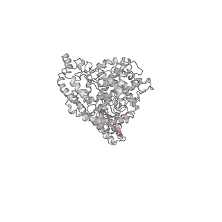 30041_6m1d_D_v1-2
ACE2-B0AT1 complex, open conformation