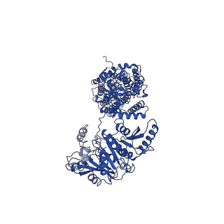 30049_6m1y_A_v1-1
The overall structure of KCC3