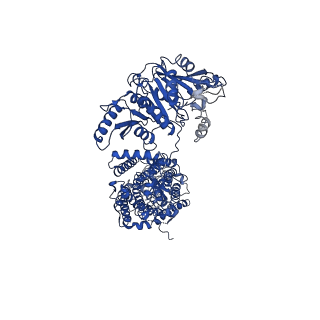 30049_6m1y_B_v1-1
The overall structure of KCC3