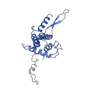 4140_5m1j_F2_v1-2
Nonstop ribosomal complex bound with Dom34 and Hbs1