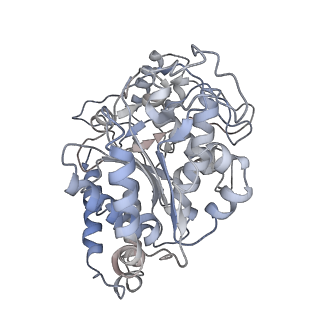 23627_7m20_A_v1-2
18-mer HeLa-tubulin rings in complex with Cryptophycin 1