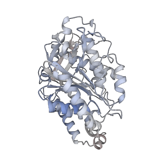 23627_7m20_B_v1-2
18-mer HeLa-tubulin rings in complex with Cryptophycin 1