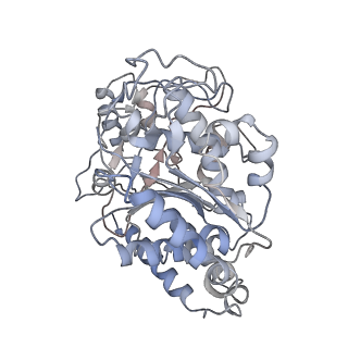23627_7m20_C_v1-2
18-mer HeLa-tubulin rings in complex with Cryptophycin 1