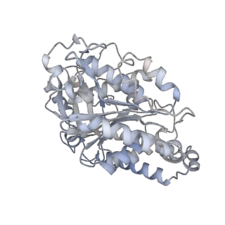 23627_7m20_D_v1-2
18-mer HeLa-tubulin rings in complex with Cryptophycin 1