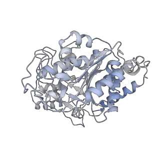 23627_7m20_G_v1-2
18-mer HeLa-tubulin rings in complex with Cryptophycin 1