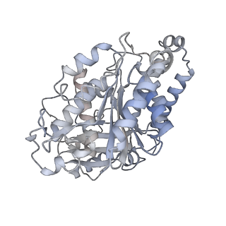 23627_7m20_H_v1-2
18-mer HeLa-tubulin rings in complex with Cryptophycin 1