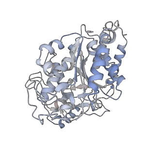 23627_7m20_I_v1-2
18-mer HeLa-tubulin rings in complex with Cryptophycin 1