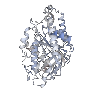 23627_7m20_J_v1-2
18-mer HeLa-tubulin rings in complex with Cryptophycin 1
