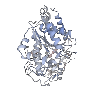23627_7m20_K_v1-2
18-mer HeLa-tubulin rings in complex with Cryptophycin 1