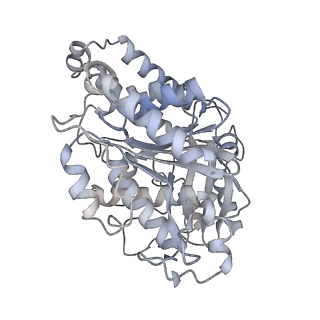 23627_7m20_L_v1-2
18-mer HeLa-tubulin rings in complex with Cryptophycin 1