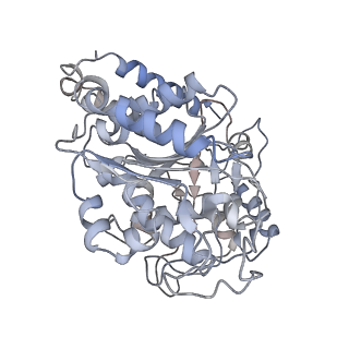 23627_7m20_M_v1-2
18-mer HeLa-tubulin rings in complex with Cryptophycin 1