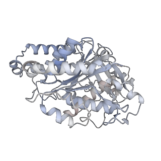 23627_7m20_N_v1-2
18-mer HeLa-tubulin rings in complex with Cryptophycin 1