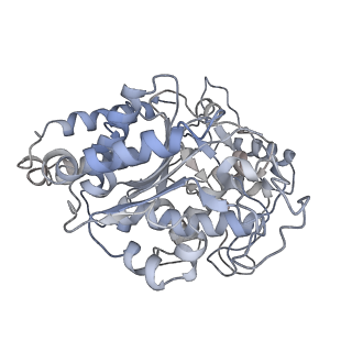 23627_7m20_O_v1-2
18-mer HeLa-tubulin rings in complex with Cryptophycin 1