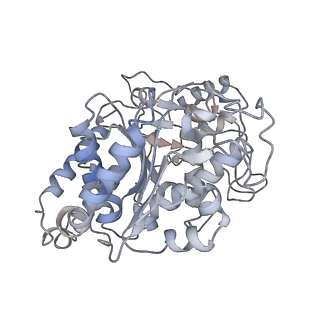 23627_7m20_Q_v1-2
18-mer HeLa-tubulin rings in complex with Cryptophycin 1
