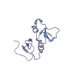 23629_7m22_C_v1-1
Cryo-EM structure of the HCMV pentamer bound by human neuropilin 2