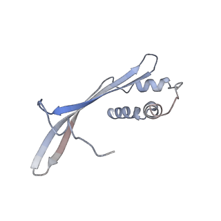 23629_7m22_D_v1-1
Cryo-EM structure of the HCMV pentamer bound by human neuropilin 2