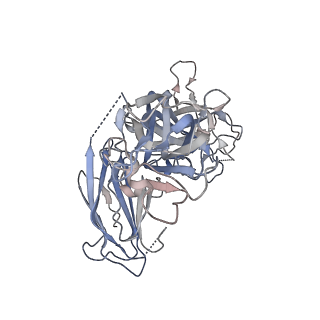 23629_7m22_N_v1-1
Cryo-EM structure of the HCMV pentamer bound by human neuropilin 2