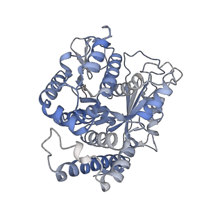 23635_7m2w_A_v1-1
Engineered disulfide cross-linked closed conformation of the Yeast gamma-TuRC(SS)