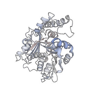 23637_7m2y_B_v1-2
Closed conformation of the Yeast wild-type gamma-TuRC