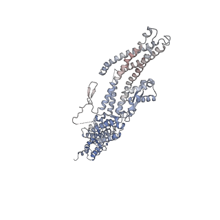 23637_7m2y_C_v1-2
Closed conformation of the Yeast wild-type gamma-TuRC