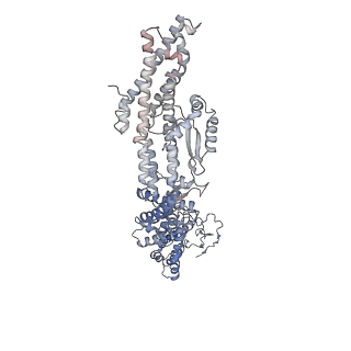 23637_7m2y_D_v1-1
Closed conformation of the Yeast wild-type gamma-TuRC