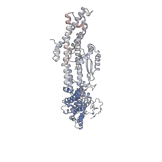 23637_7m2y_D_v1-2
Closed conformation of the Yeast wild-type gamma-TuRC