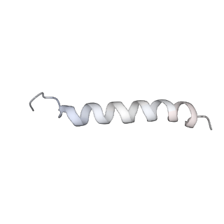 23637_7m2y_U_v1-2
Closed conformation of the Yeast wild-type gamma-TuRC