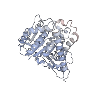 23638_7m2z_A_v1-2
Monomeric single-particle reconstruction of the Yeast gamma-TuSC