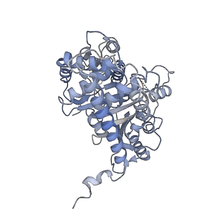 23638_7m2z_B_v1-2
Monomeric single-particle reconstruction of the Yeast gamma-TuSC