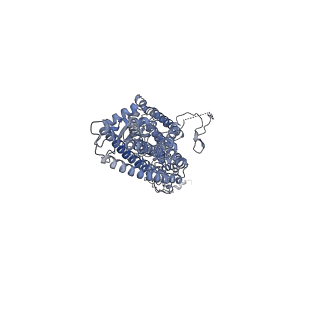 23638_7m2z_C_v1-2
Monomeric single-particle reconstruction of the Yeast gamma-TuSC