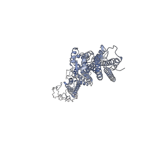 23638_7m2z_D_v1-2
Monomeric single-particle reconstruction of the Yeast gamma-TuSC