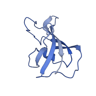 30067_6m2w_B_v1-2
Structure of RyR1 (Ca2+/Caffeine/ATP/CaM1234/CHL)